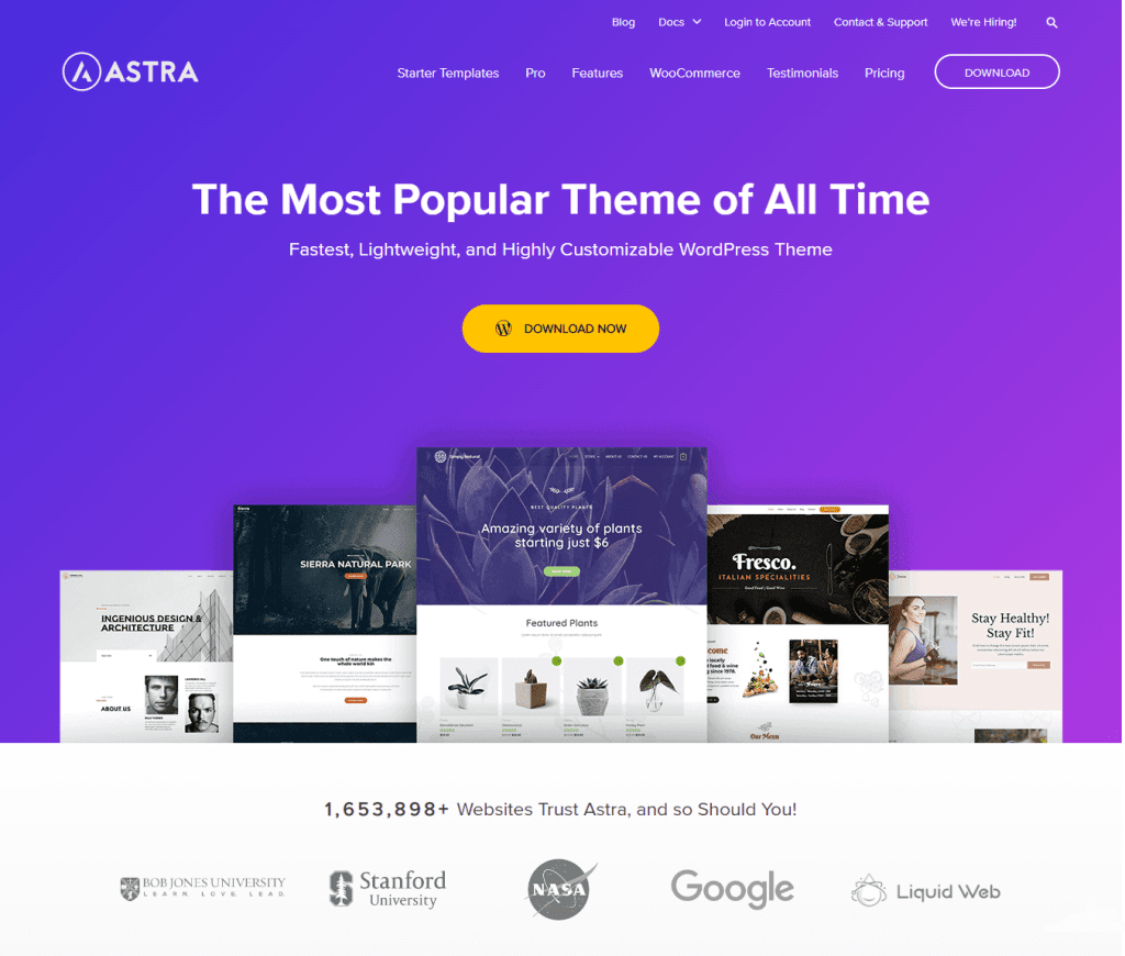 popular WordPress themes for startups